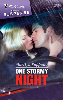 Title details for One Stormy Night by Marilyn Pappano - Available